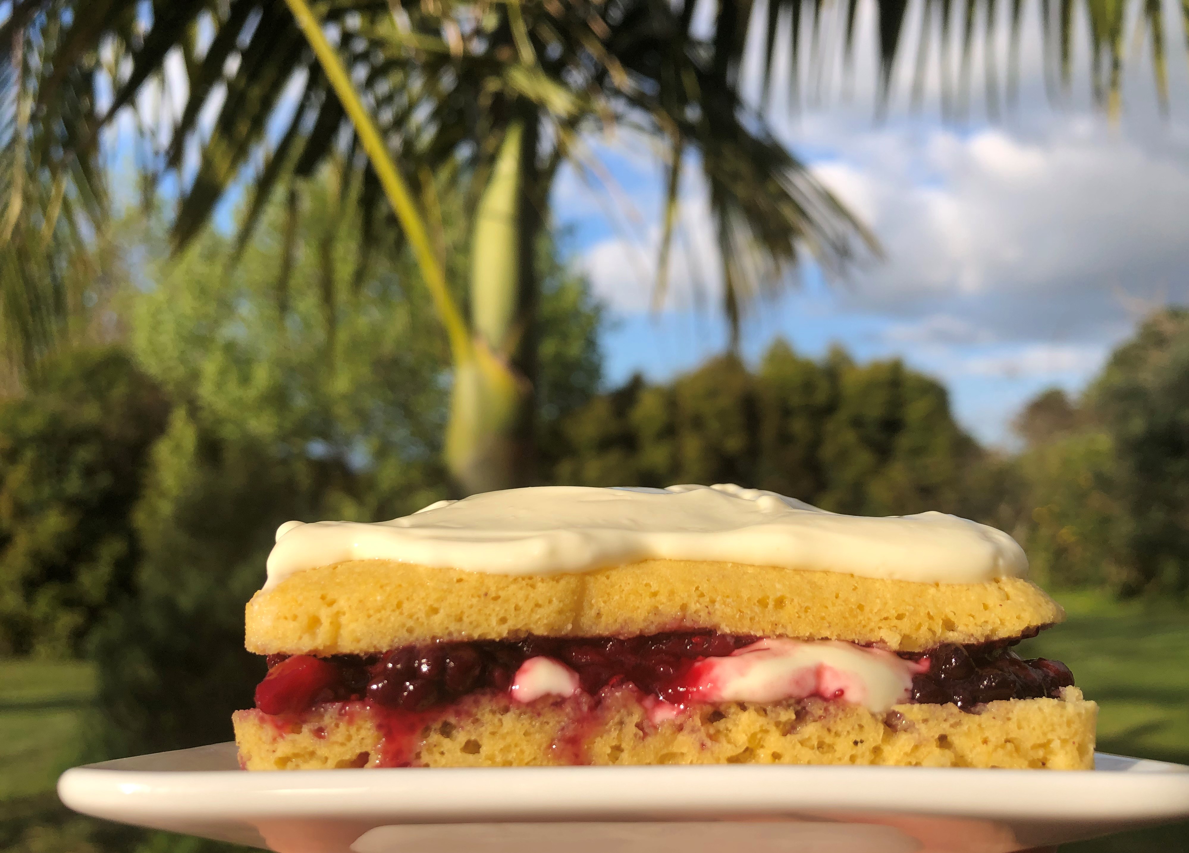 Low Carb Berry Shortcake in 15 Minutes