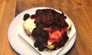 Berry Shortcake 03